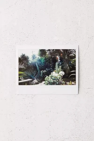 Fujifilm Fujifilm INSTAX Wide Film 2