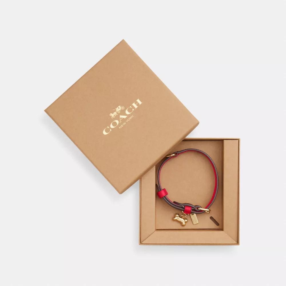 Coach Boxed Small Pet Collar In Signature Canvas