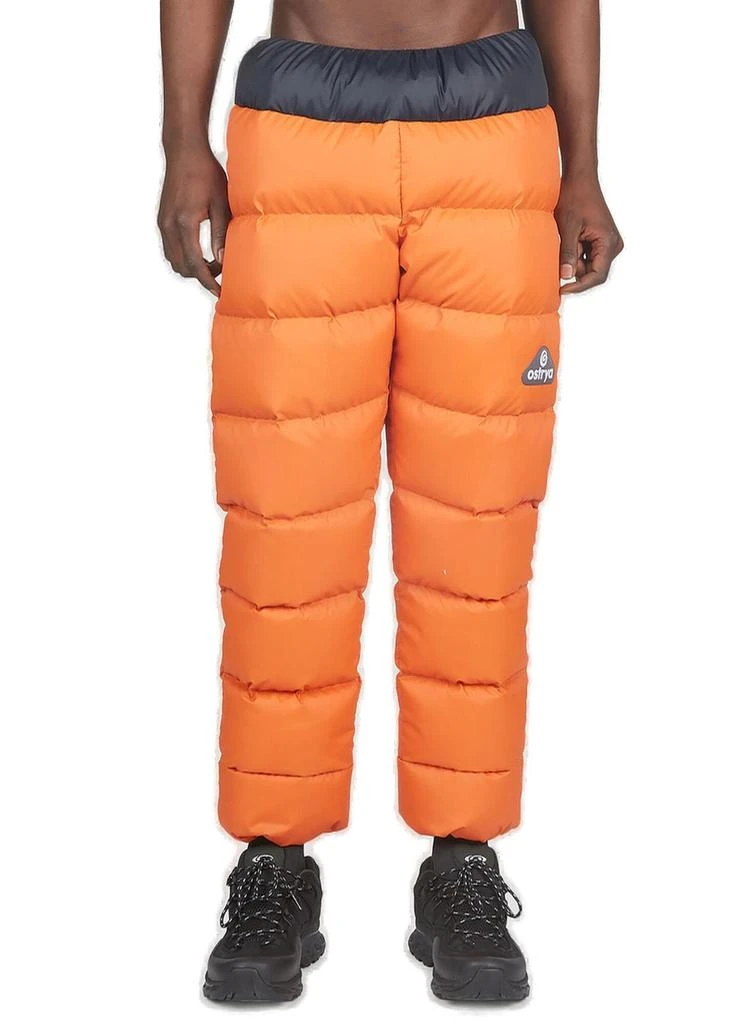 Ostrya Ostrya Bivouac Down Padded Ski Pants 1