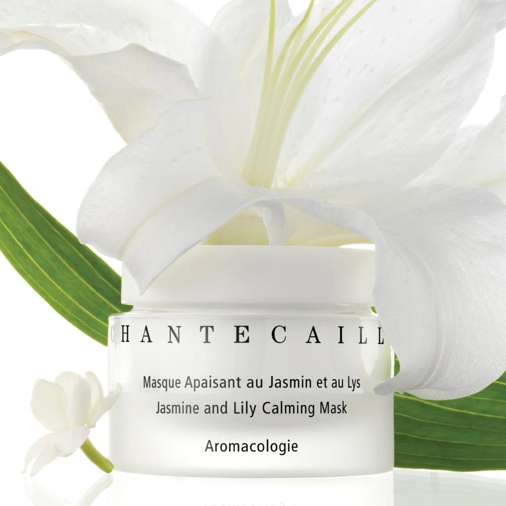 Chantecaille Chantecaille Jasmine and Lily Calming Mask 50ml 3