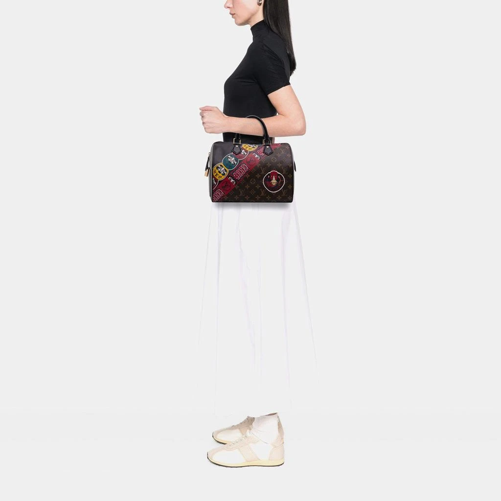 Louis Vuitton Louis Vuitton Brown Monogram Kabuki Speedy  30 Bag 4