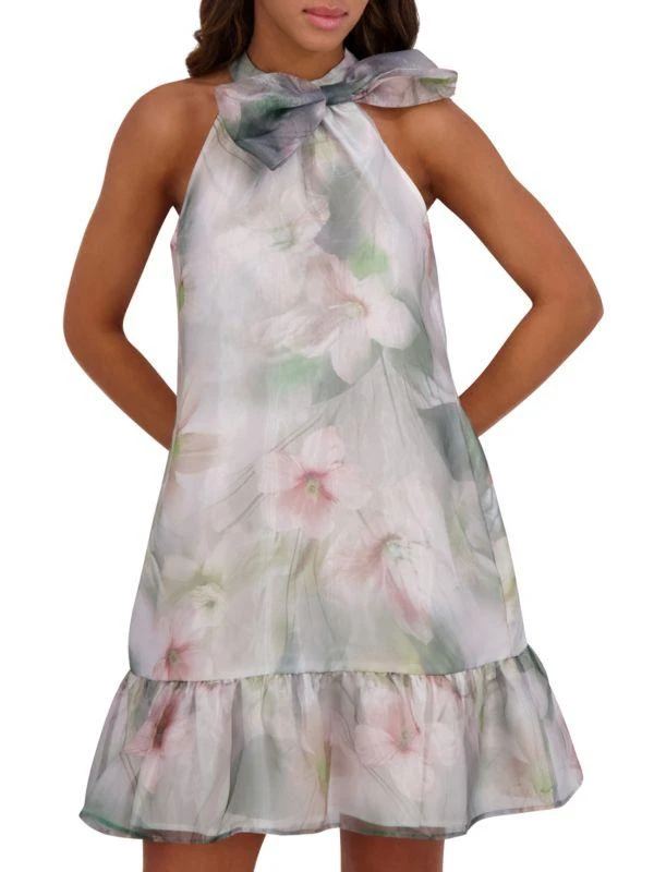 Kensie Floral Organza A-Line Minidress 1