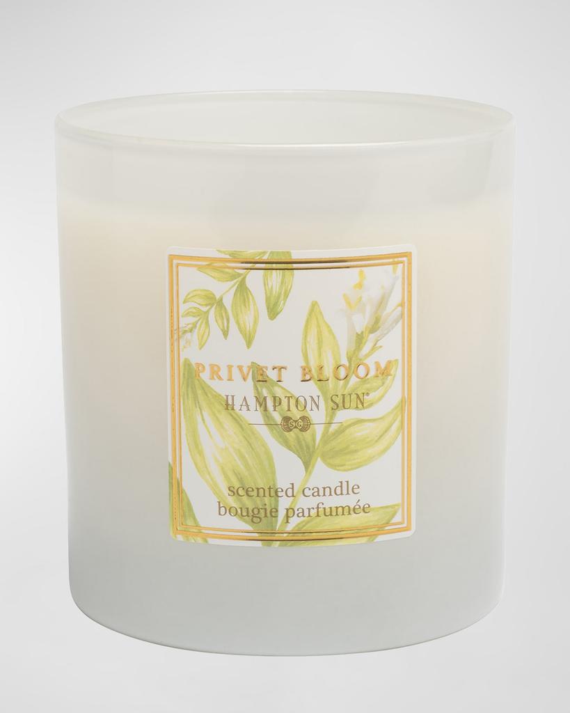 Hampton Sun 7.5 oz. Privet Bloom Scented Candle