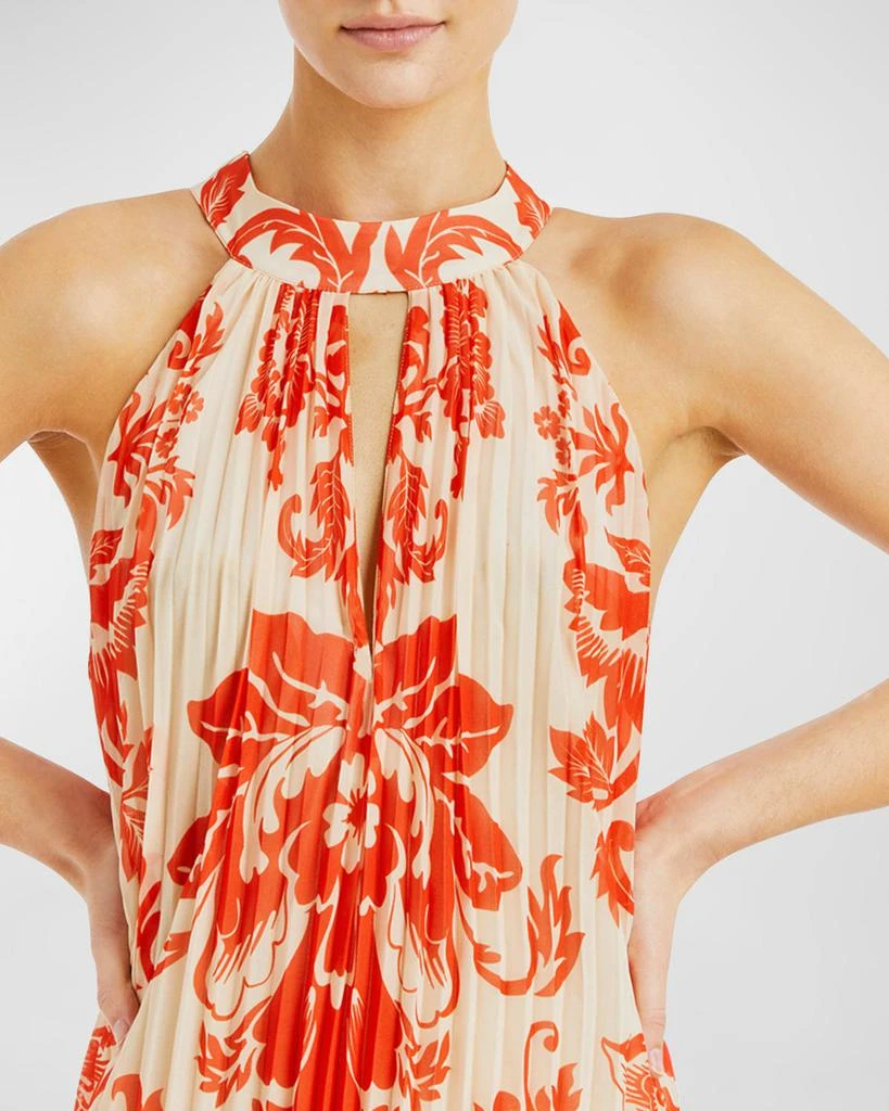 Mestiza New York Almeria Pleated Floral-Print Halter Gown 4