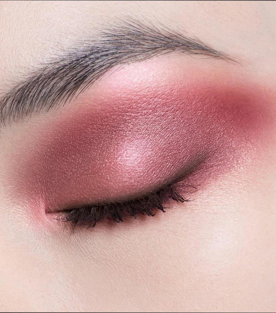 Dior Diorshow 5 Couleurs Eyeshadow Palette 2