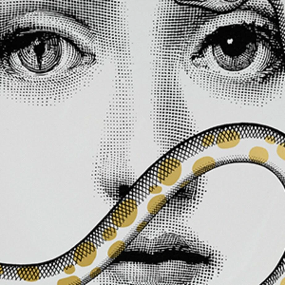FORNASETTI Tema e Variazioni No.409 Wall Plate 3
