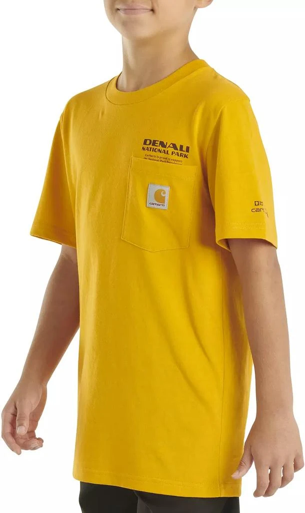 Carhartt Carhartt Boys' Denali National Park T-Shirt 6