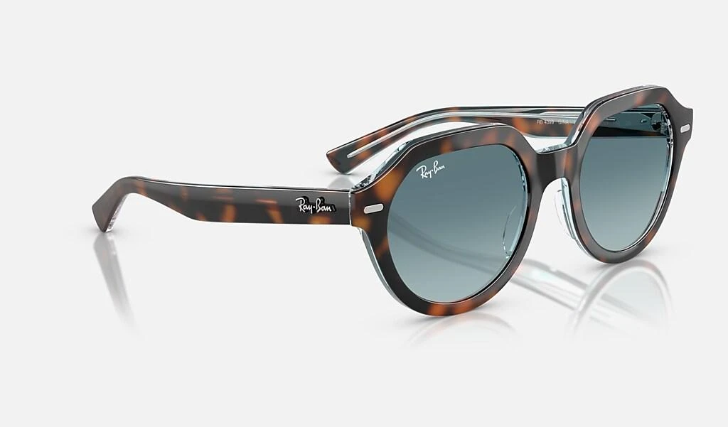 Ray-Ban GINA 6