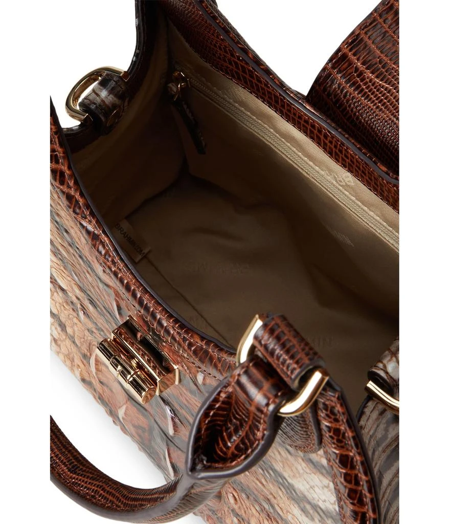 Brahmin Adrian Satchel 3