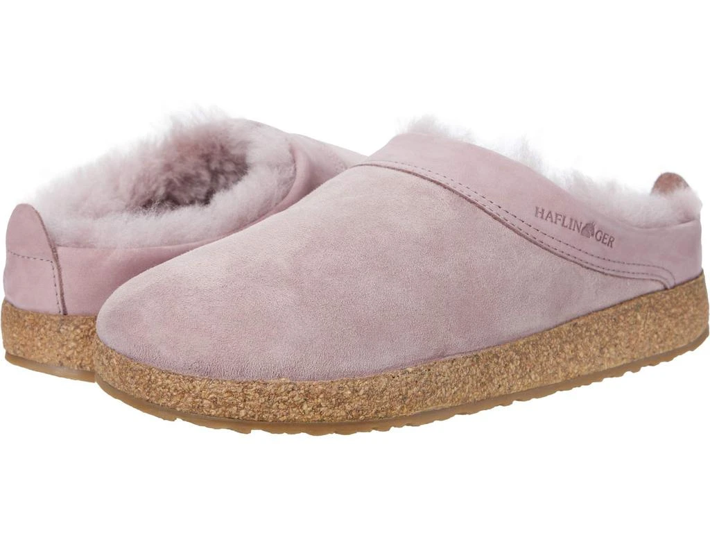 Haflinger Snowbird 1