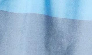 Chubbies Classic Lined 5.5-Inch Swim Trunks 7