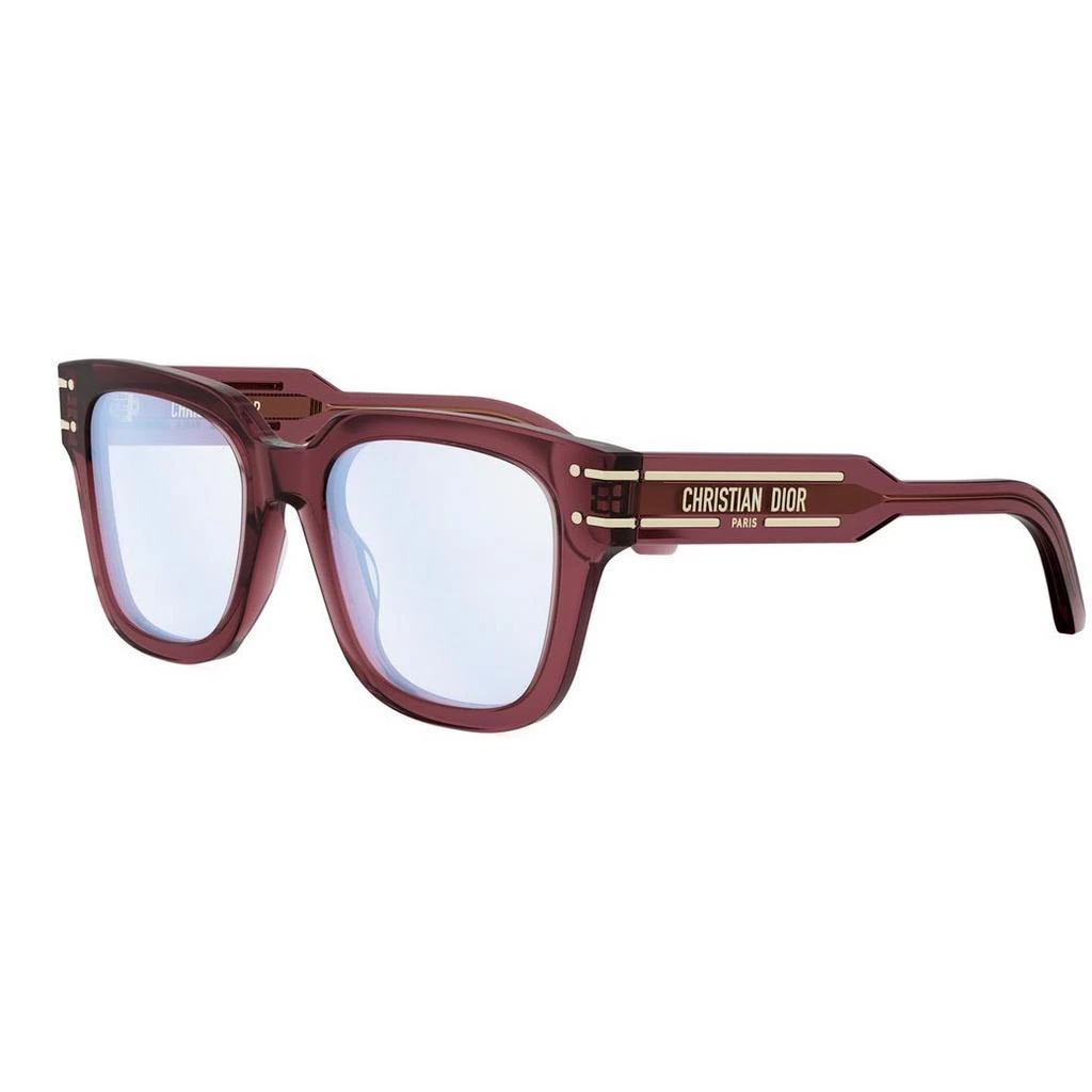 Dior Glasses 2