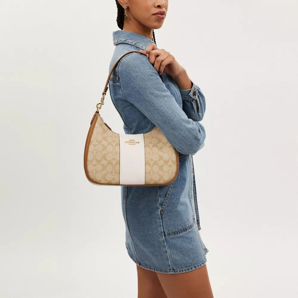 COACH® Teri Hobo Bag In Signature Canvas With Stripe 3