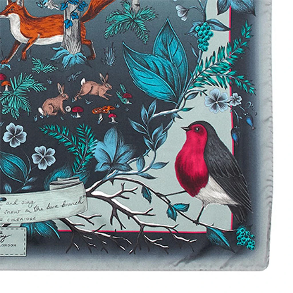 Aspinal of London Robin silk scarf 3