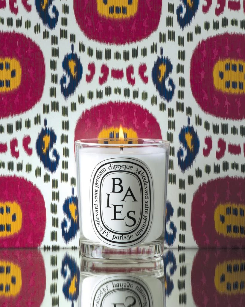 DIPTYQUE Baies (Berries) Scented Candle, 6.5 oz. 4