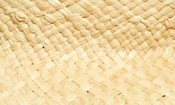 Madewell Woven Straw Bucket Hat 2