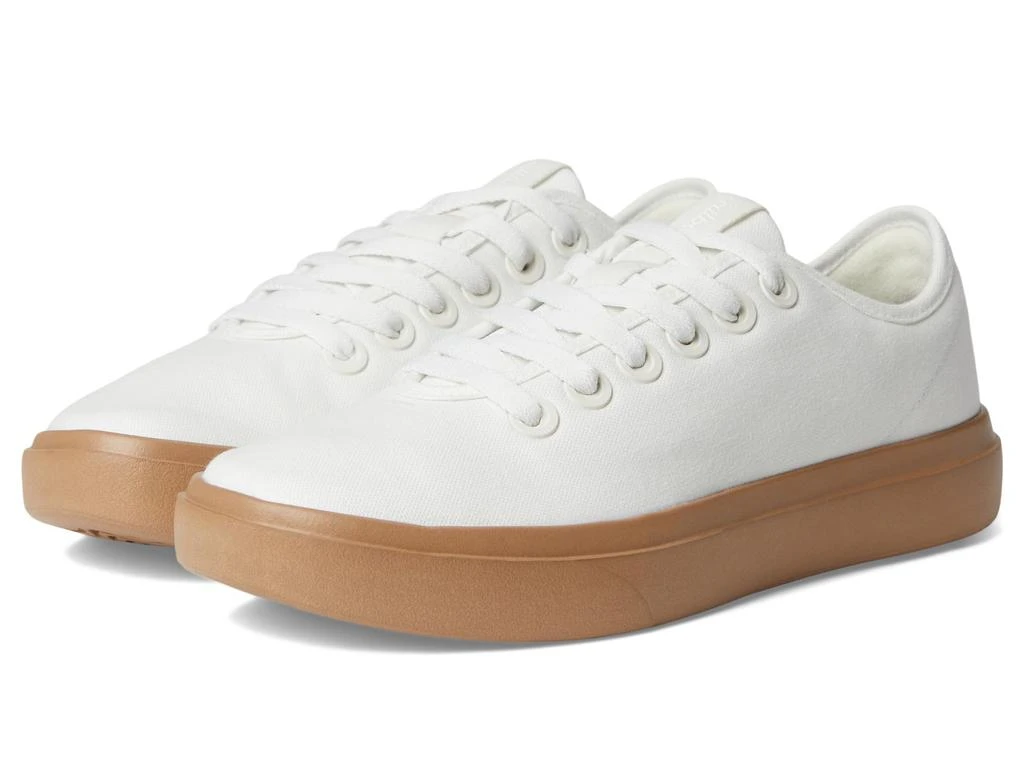 allbirds Canvas Piper 1