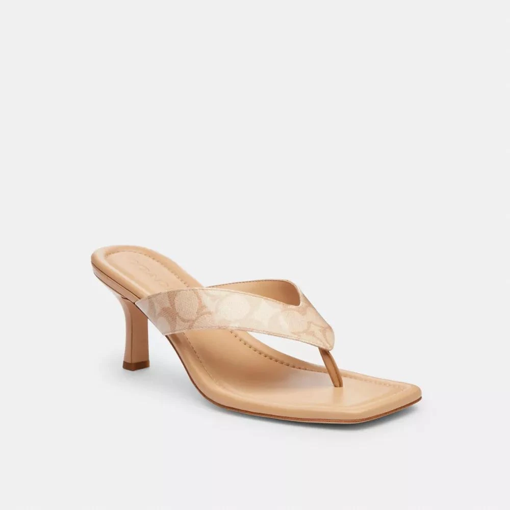Coach Kitten Heel In Signature Canvas 2