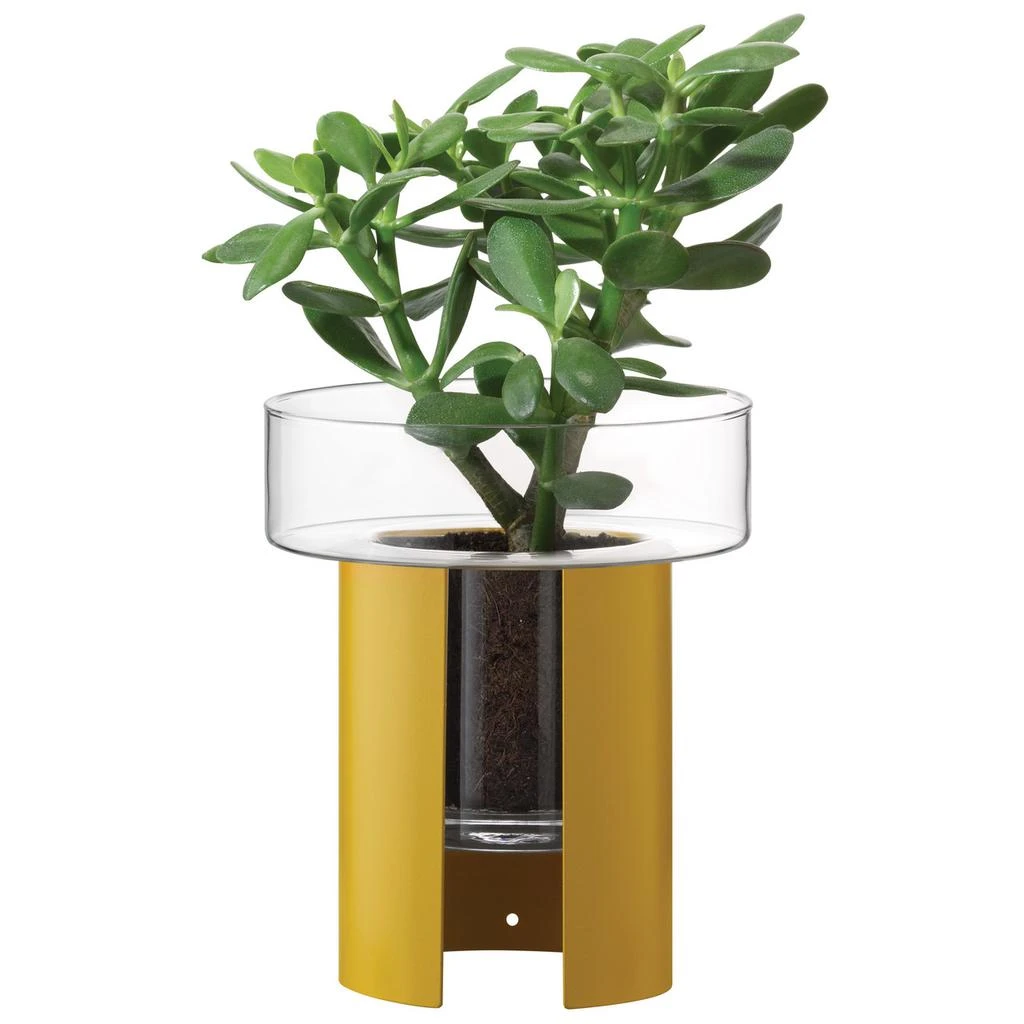 LSA International Terrazza planter h22cm 19cm clear-mustard yellow 1