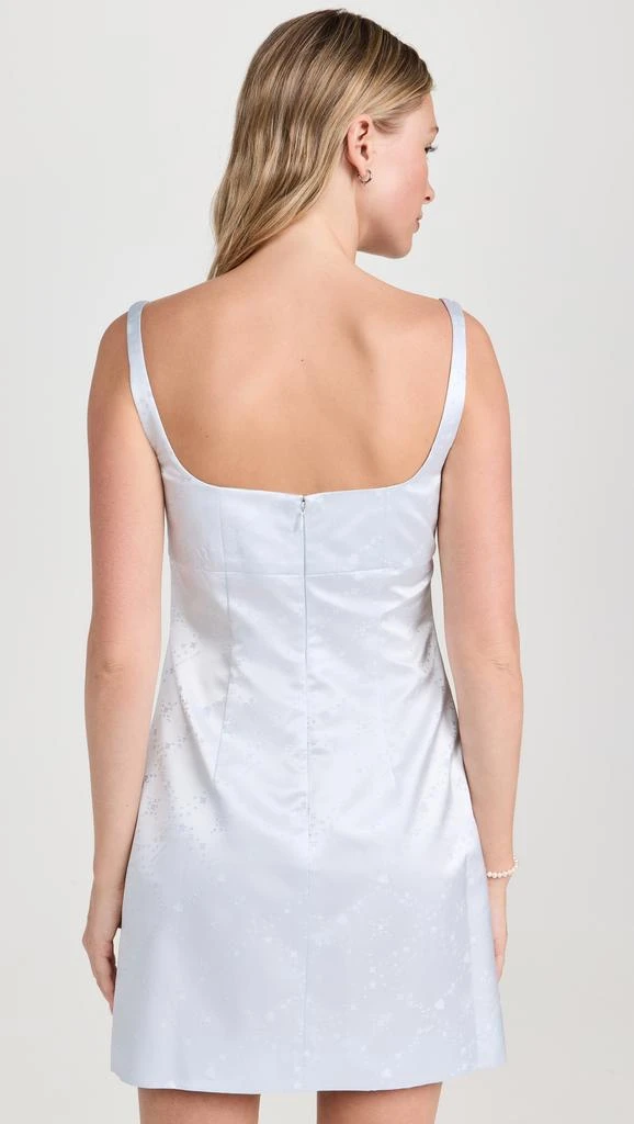 Sandy Liang Melrose Dress 2