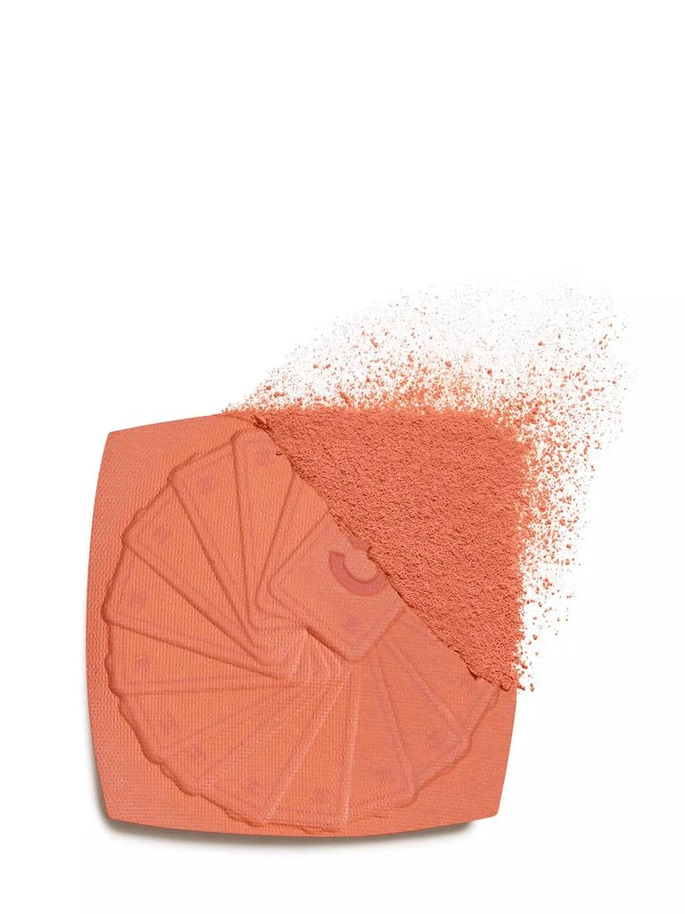 Chanel Powder Blush 2