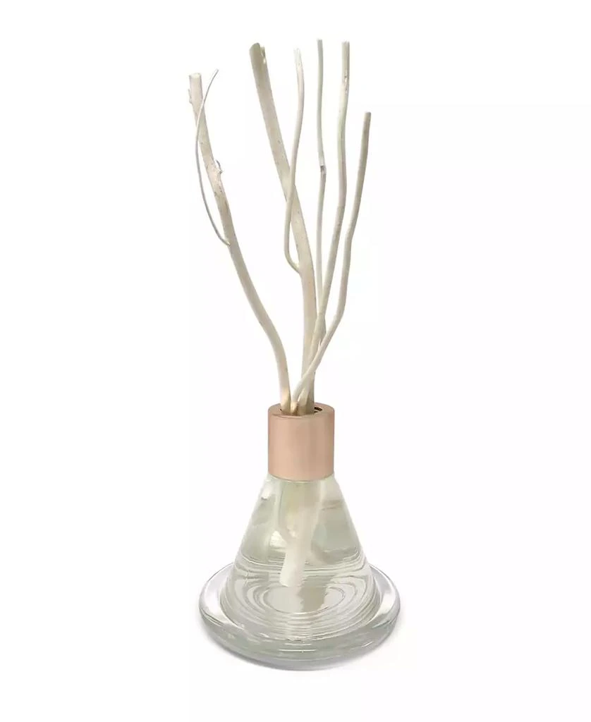 Vivience Clear Cone Shaped Reed Diffuser with Tray 1