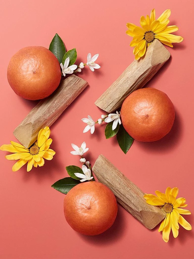 Hermes Hermèsistible Infused Lip Care Oil 7