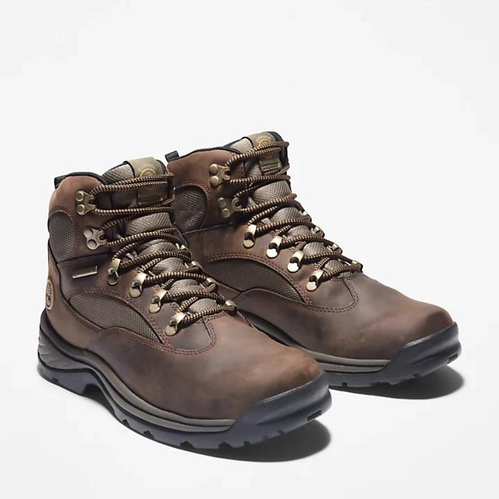 Timberland Chocorua Waterproof Hiking Boot for Men in Brown 4