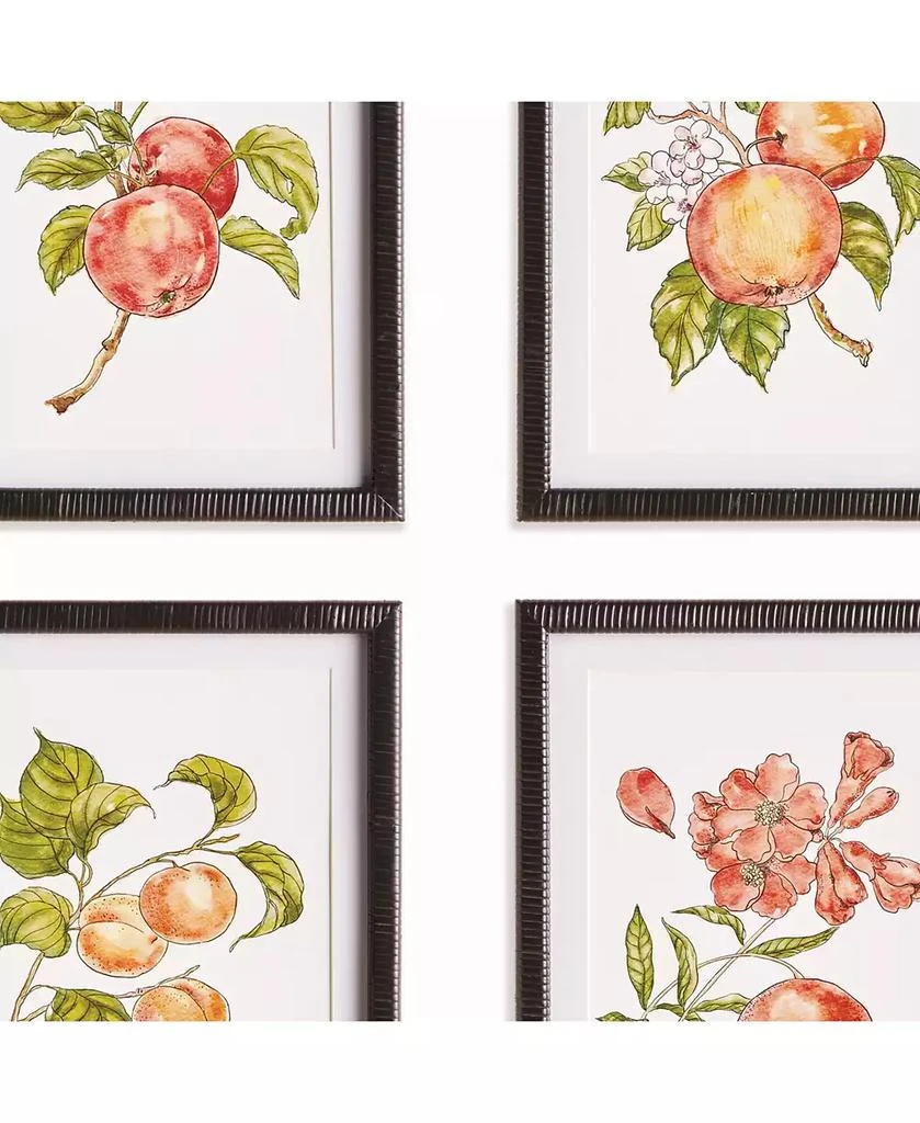 Napa Home 
Garden Autumnal Fruit Prints, Set of 4 - Pink/Orange - Fir Wood 3