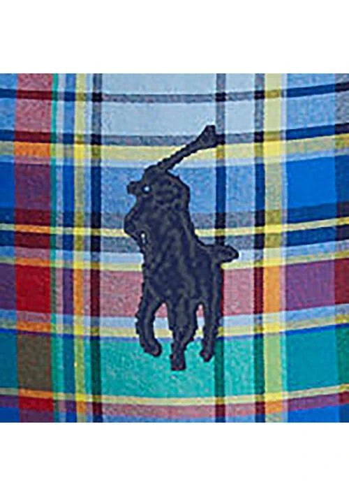 Ralph Lauren Ralph Lauren Classic Fit Plaid Oxford Shirt 4