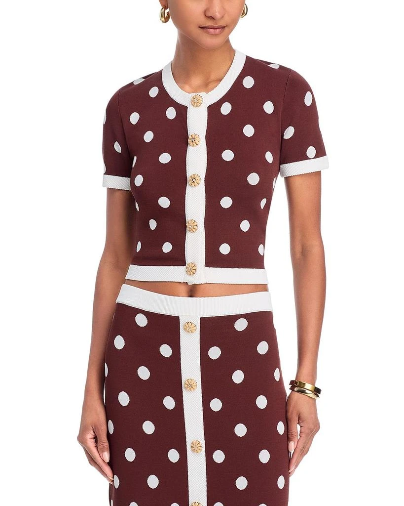 Cara Cara Sona Top Cocoa Dot 1