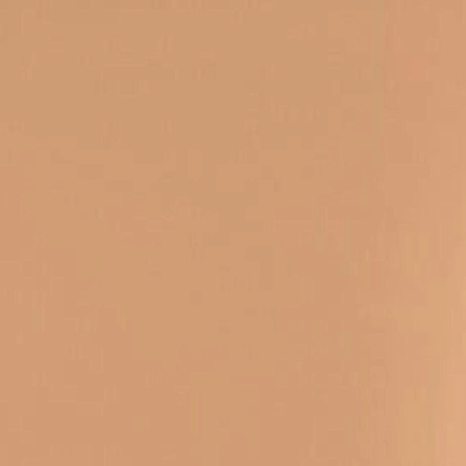 Shiseido Synchro Skin Self-Refreshing Foundation 5