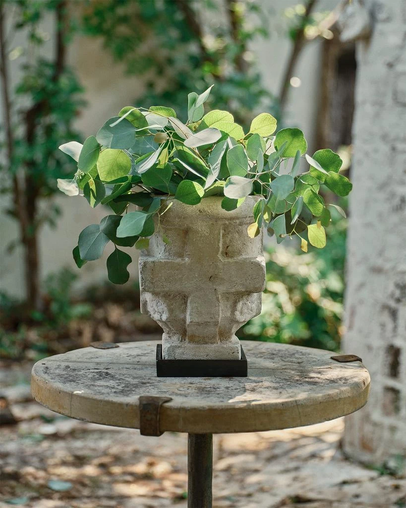 Jan Barboglio Flores y Fiesta Planter 3
