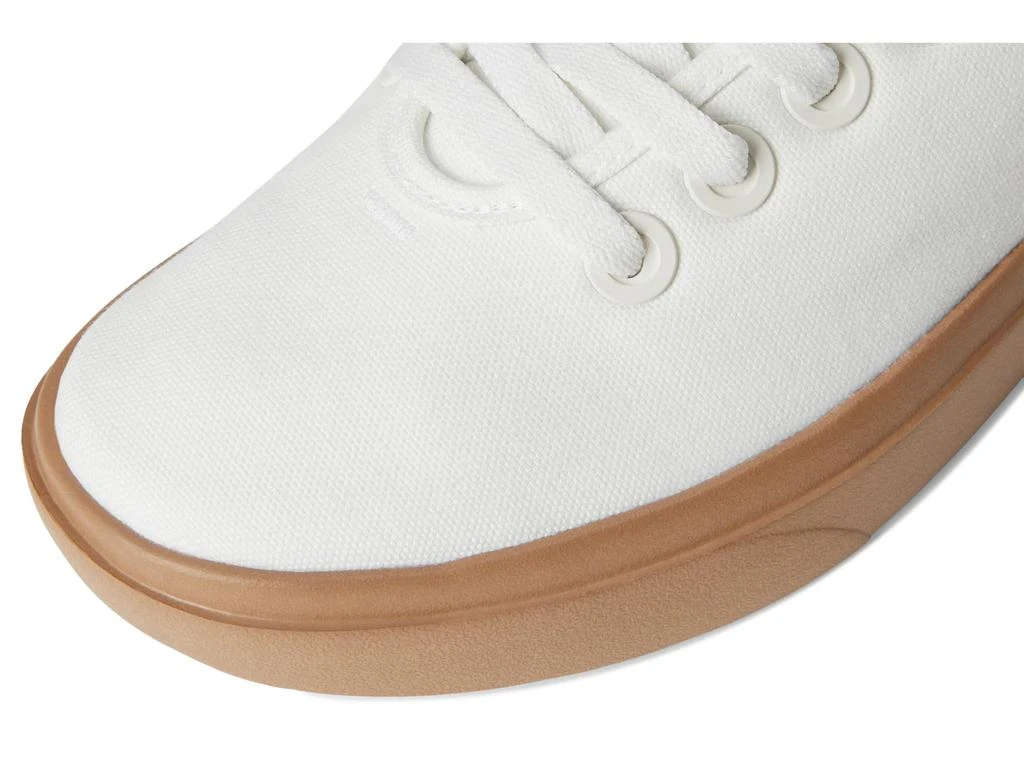 allbirds Canvas Piper 6