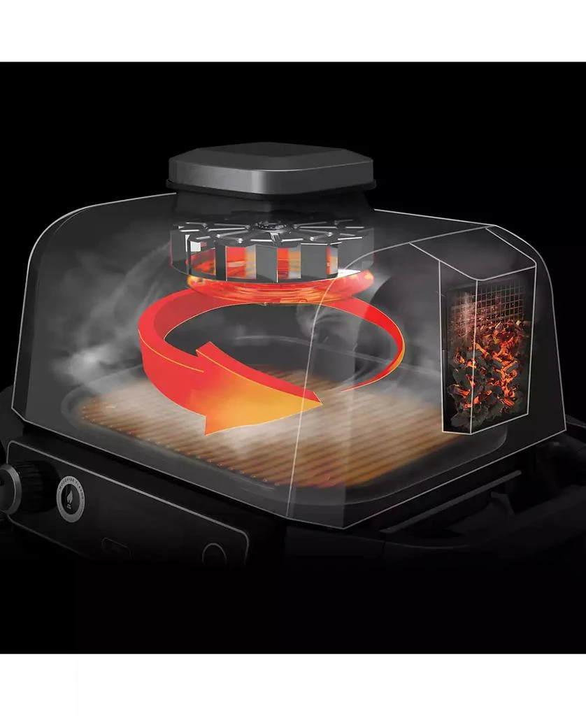 Ninja Woodfire Outdoor Grill & Smoker, 7-in-1 Master Grill, BBQ Smoker and Air Fryer with Woodfire Technology - OG701 13