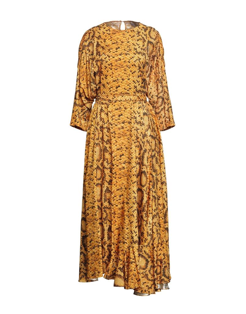 Preen By Thornton Bregazzi Long dress