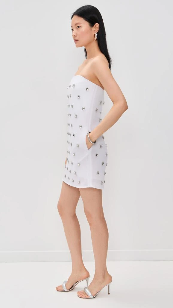 Brandon Maxwell The Tilly Embroidered Strapless Mini Dress 3