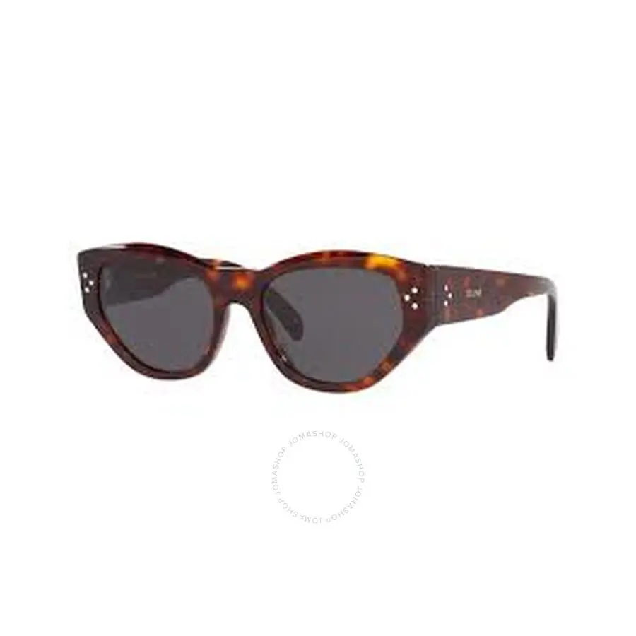Celine Smoke Cat Eye Ladies Sunglasses CL40219I 52A 54