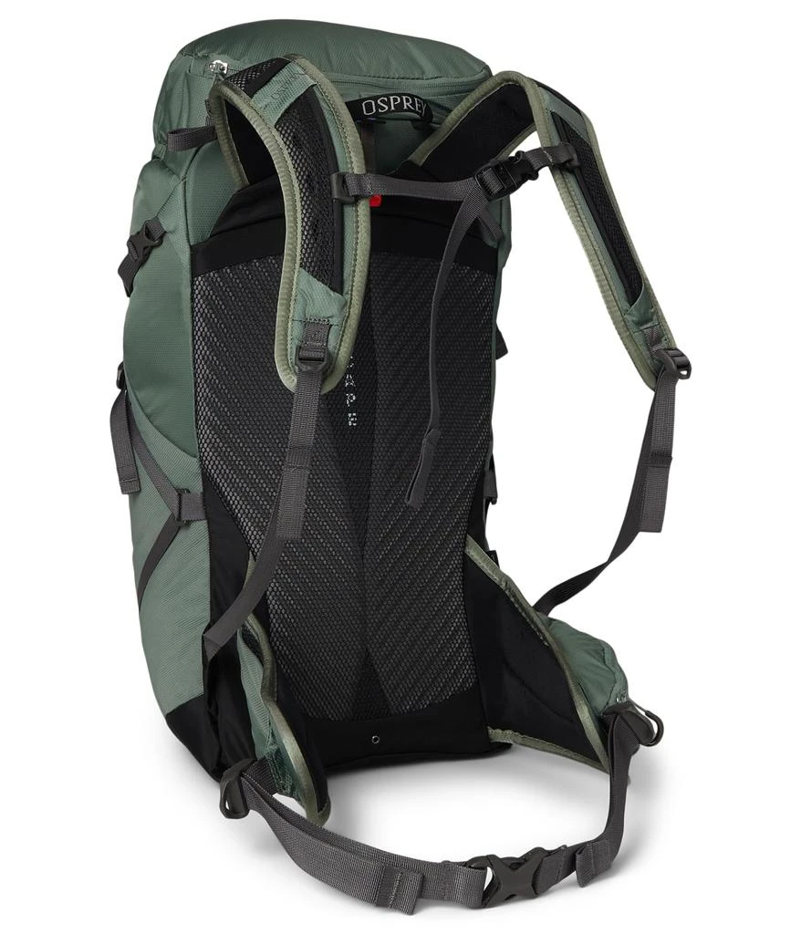 Osprey Sportlite 30 2