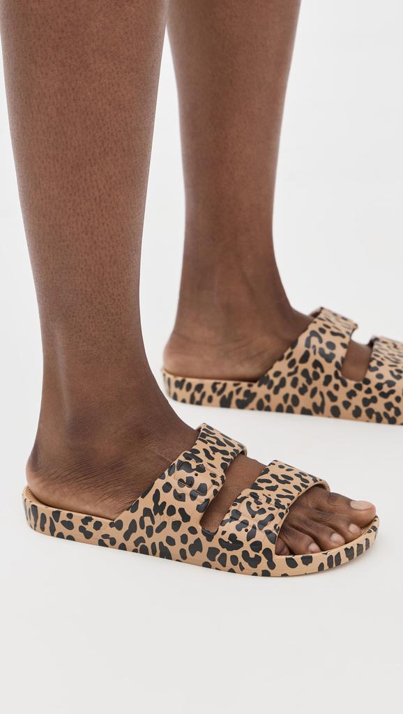 FREEDOM MOSES Leo Slides