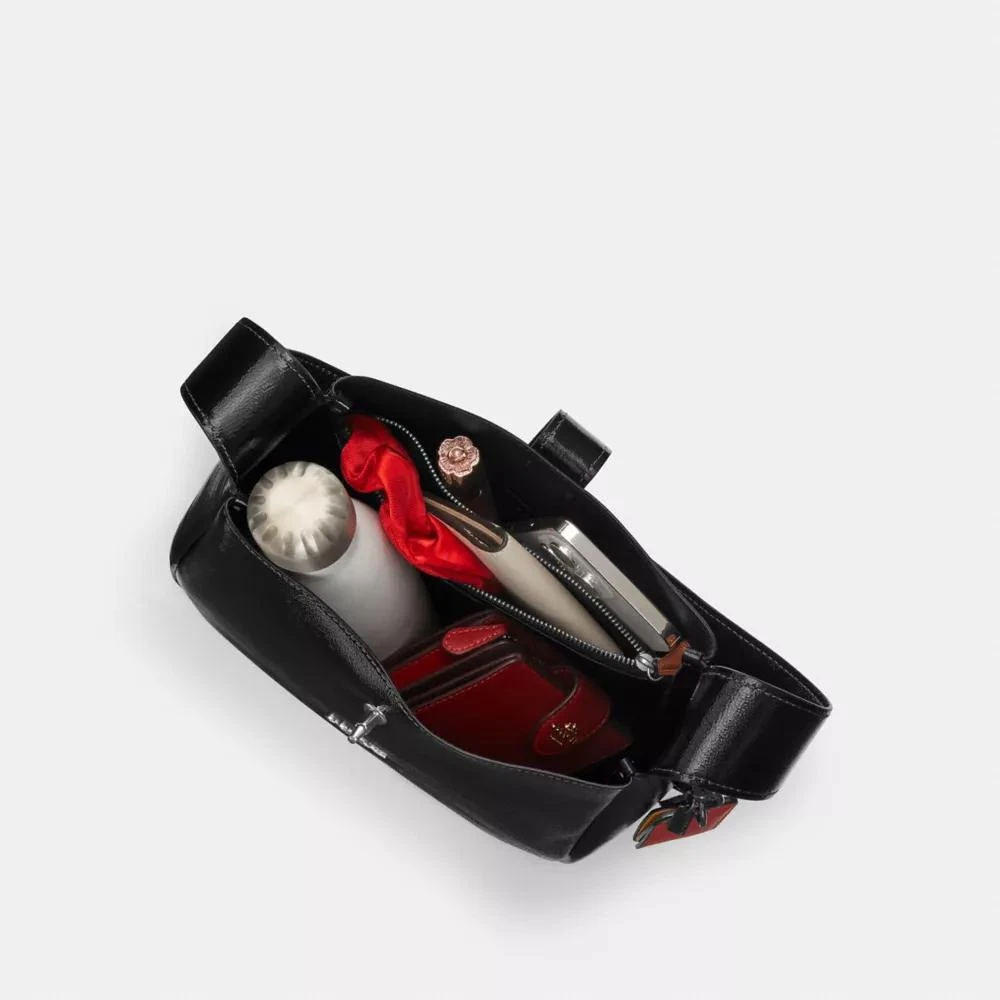 Coach Hadley Convertible Crossbody Bag 7