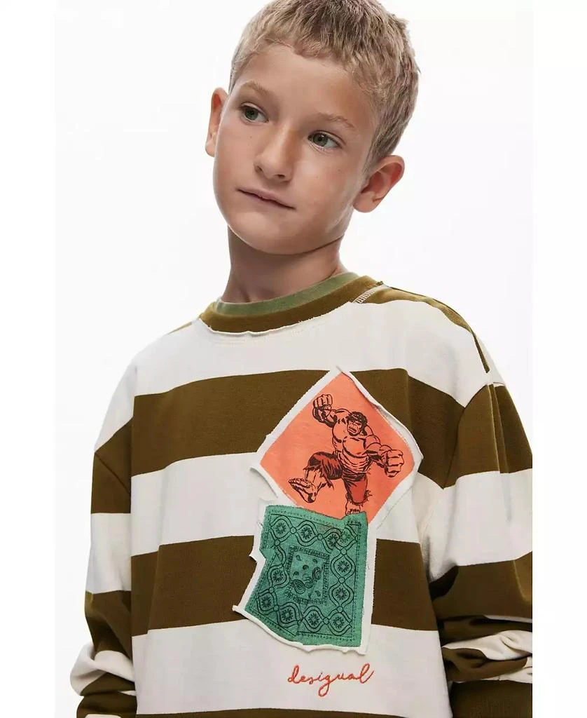 Desigual Boys Boys
s Striped sweatshirt hulk