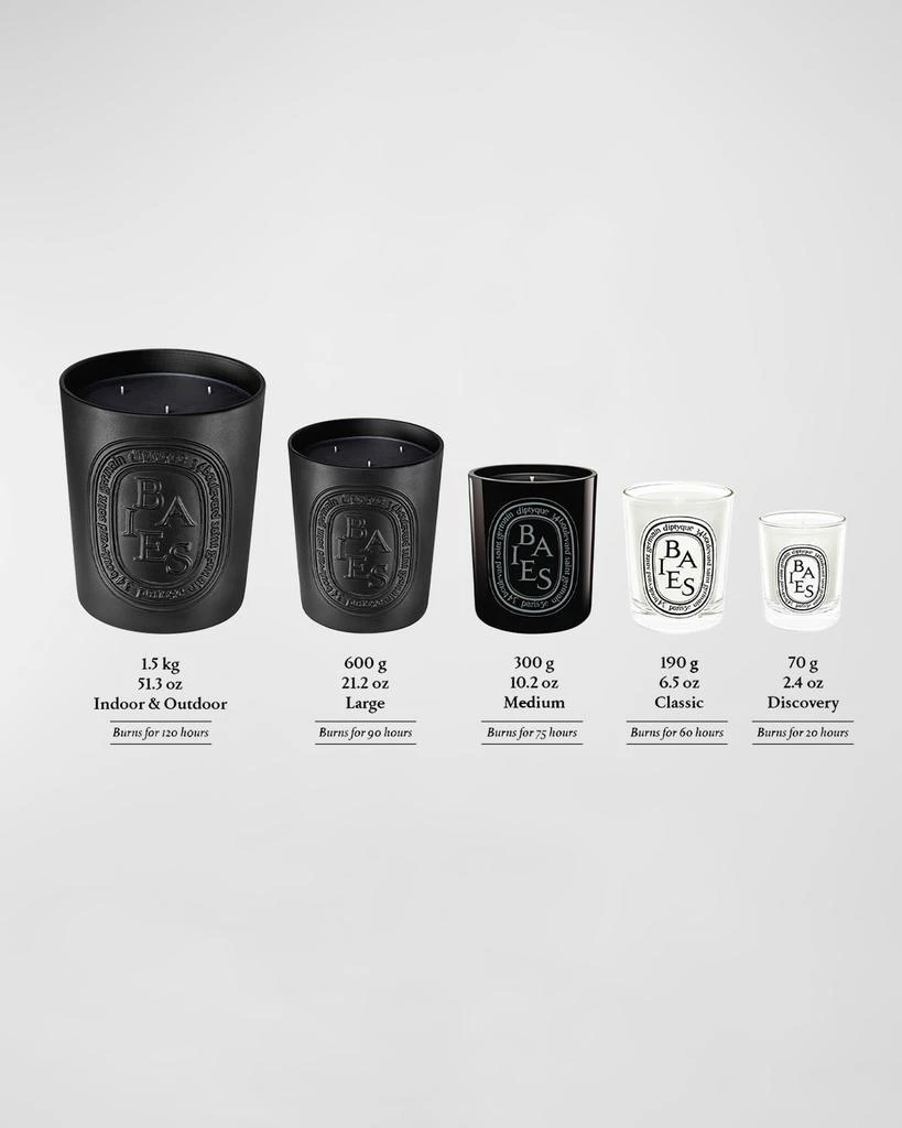 Diptyque Baies (Berries) Indoor & Outdoor Scented Candle, 51.3 oz. 2