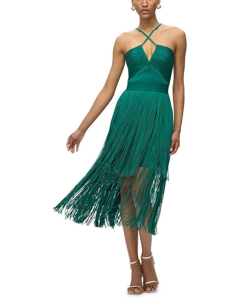 Herve Leger The Natalia Fringe Dress 5
