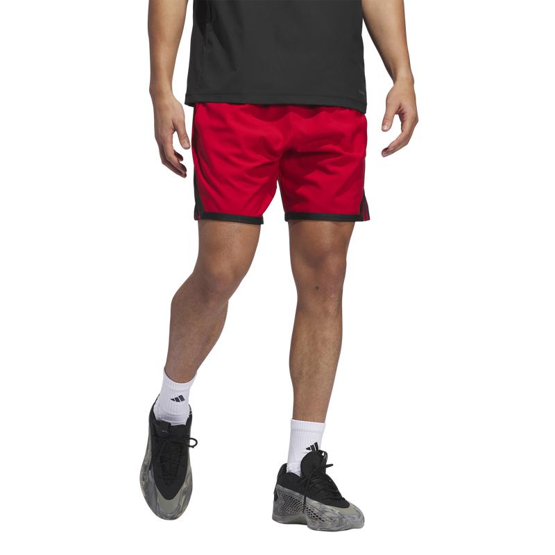 crazylight shorts