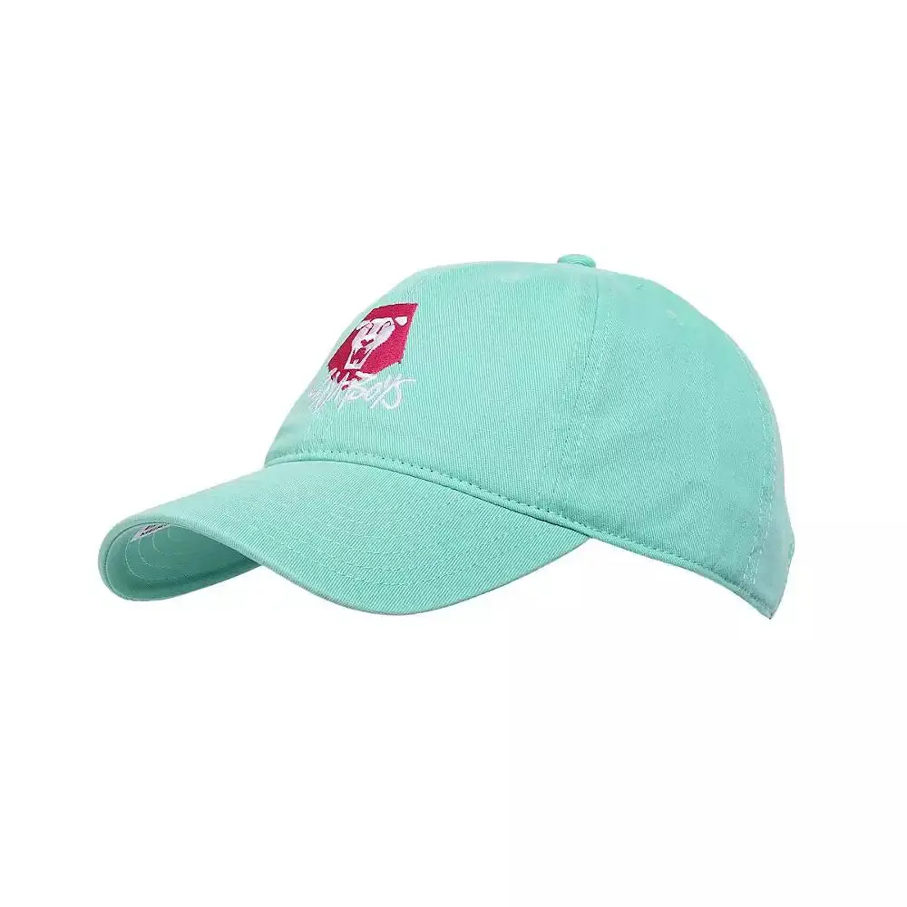Kpop Demon Hunters Saja Boys Artwork Hat (Teal)