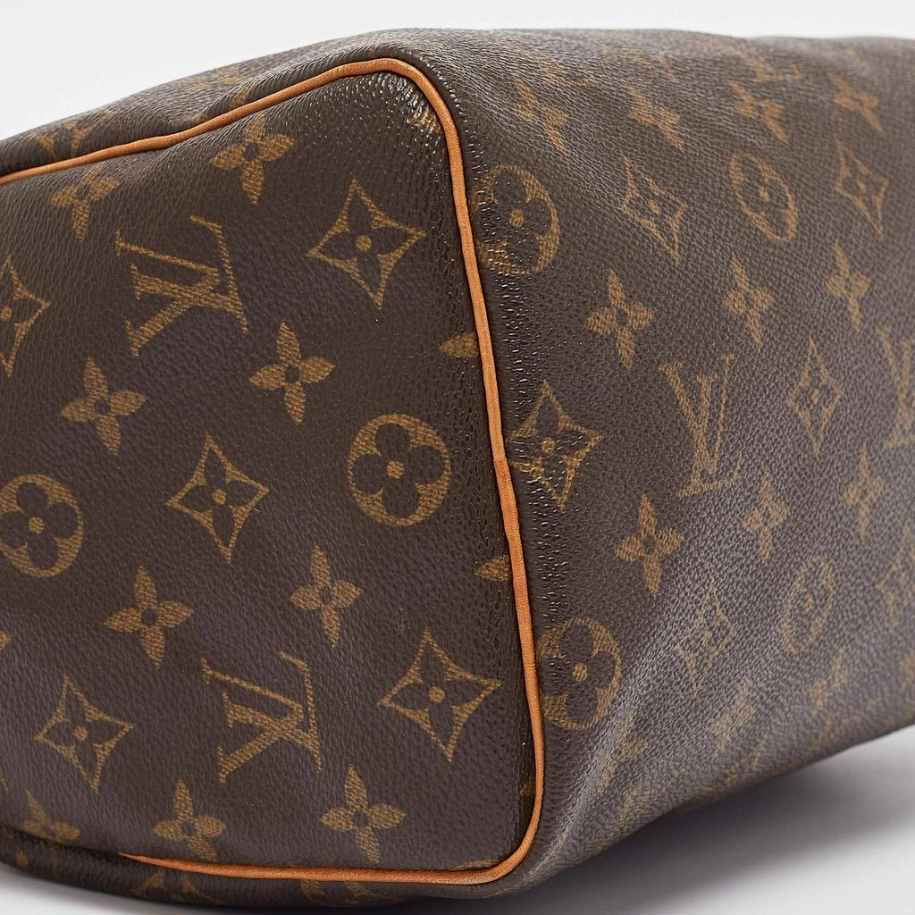 Louis Vuitton Louis Vuitton Monogram Canvas and Leather Speedy 25 Bag 15