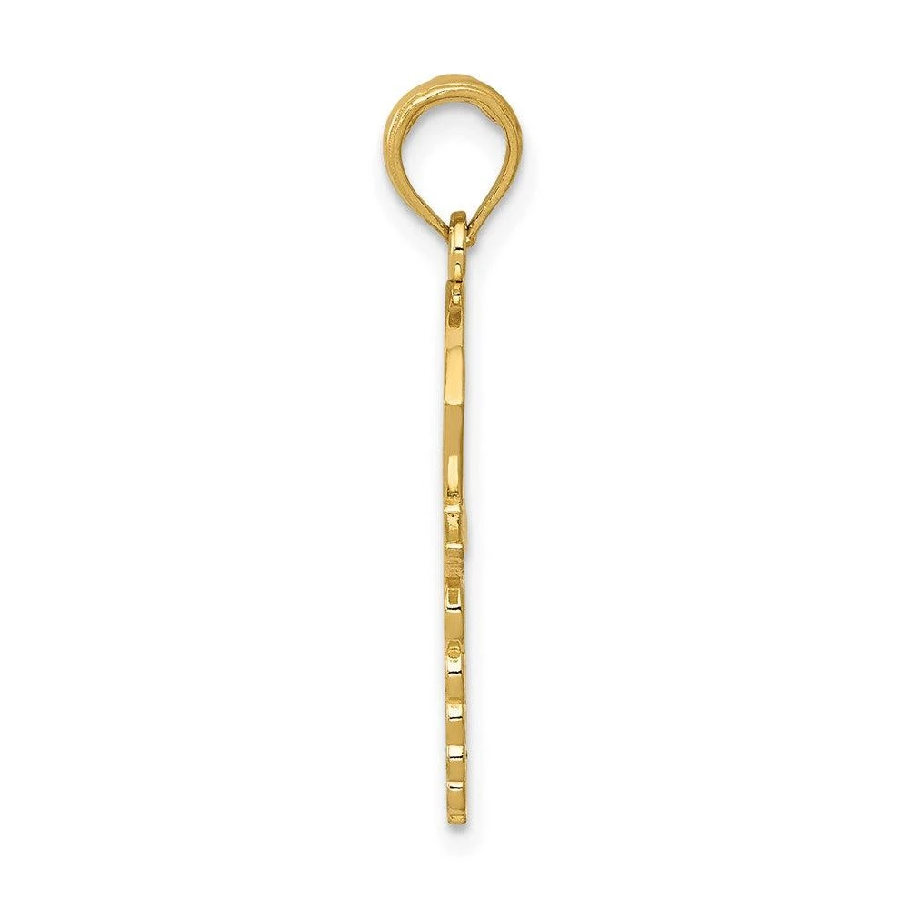 Diamond2Deal 10k Yellow Gold Caduceus Nurses Cap Pendant 2