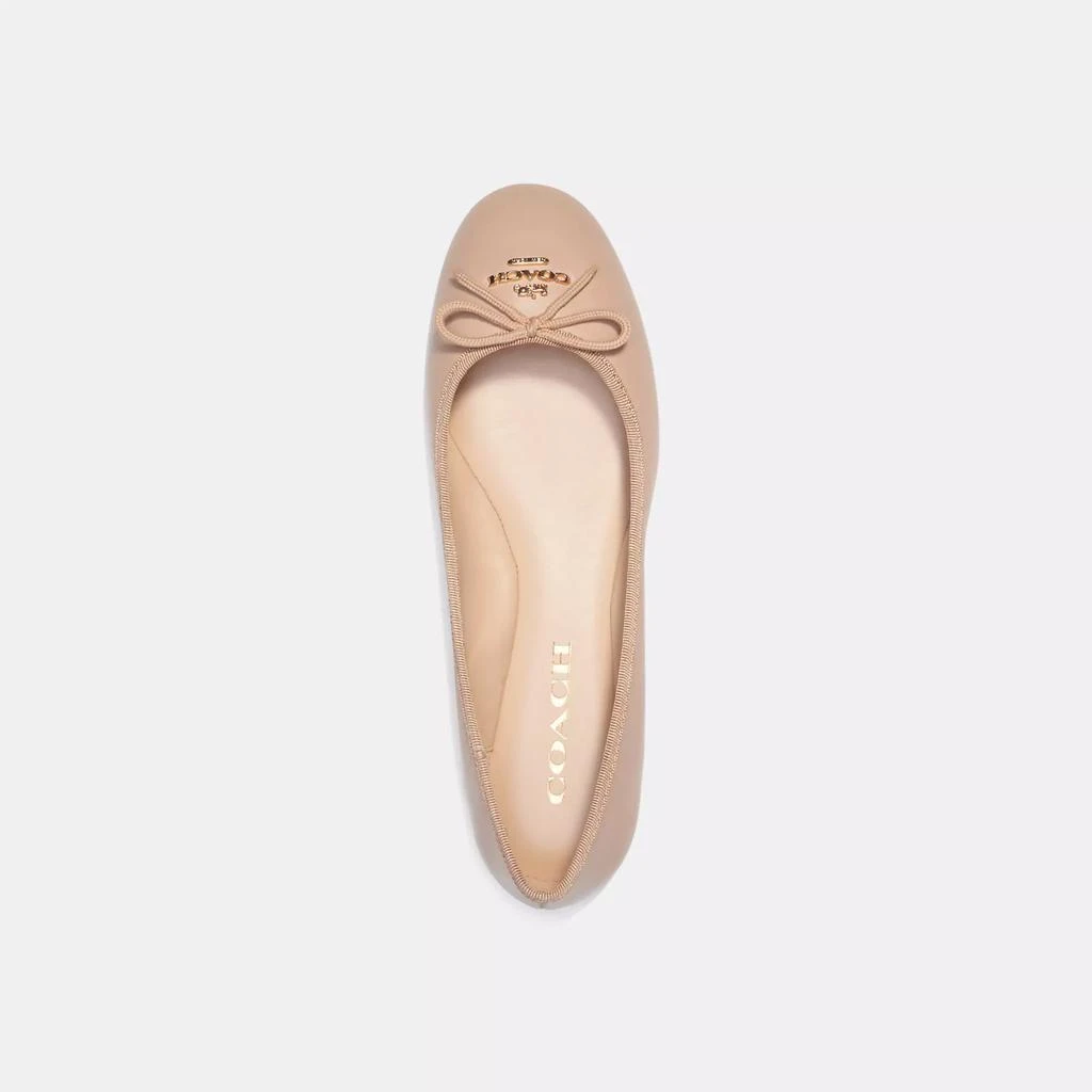 Coach Alina Ballet 3
