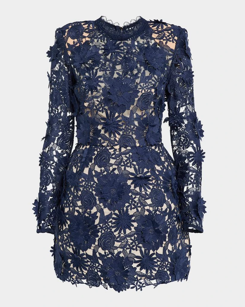BRONX AND BANCO Maia Floral Lace Applique Mini Dress 1